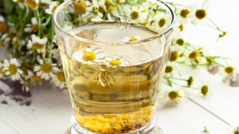 camomilla neonato prima di dormire